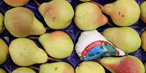 williams pears