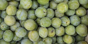 Greengages