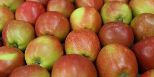 braeburn apples